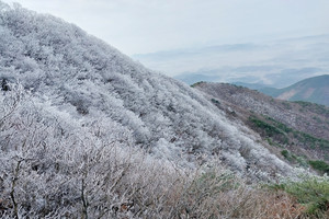 오서산 정상을 뒤덮은 아름다운 상고대.