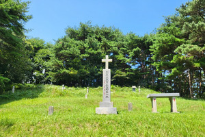 청양 다락골성지 중무덤.