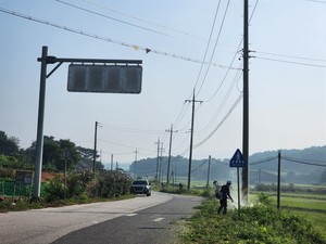 홍동면 바르게 살기 위원회 회원들이 제초작업을 실시하고있다.
