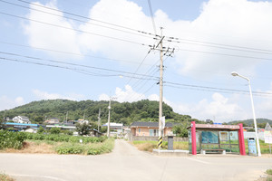 부여 건지동 동학농민군 학살터(부여 규암면 나복리 건지말).