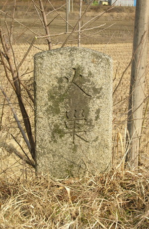 순종대왕 태실 화소비.