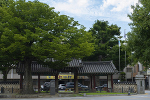 홍성군청 전경.