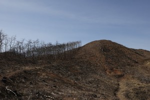 가장 많은 이재민(21세대 29명)이 발생한 서부면 양곡리.