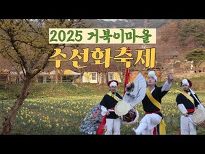 2025년 충남 홍성 거북이마을 수선화축제