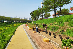 주민참여예산 제안사업으로 선정된 ‘2025년 홍성천 수국길 조성사업’.