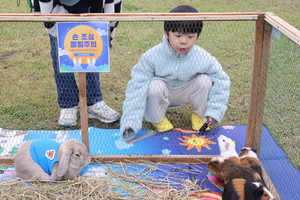 한 어린이가 기니피그를 관찰하고 있다.