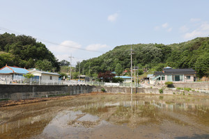 예산 대흥면에서 가장 작은 마을인 지곡리 마을은 20가구에 30명의 주민이 살고 있다.&nbsp;