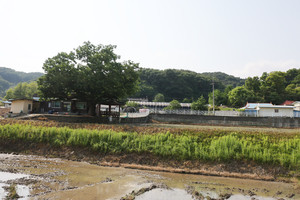 지곡리 마을 전경.