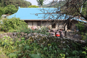 청양 내초리 돌담.