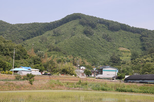 청남면 내직1리마을 전경.