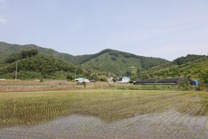 청남면 내직1리.