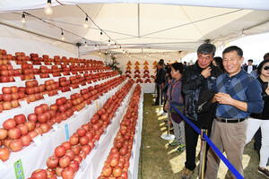 ‘예산황토사과축제’는 예산의 대표 농특산물인 황토사과를 주제로 지역 농업과 문화를 홍보하는 가을 대표 축제로 지속 개최되고 있으나, 일부 프로그램의 전통성 부족과 상업화 우려, 콘텐츠 다양성의 한계 등이 단점으로 지적되고 있다.