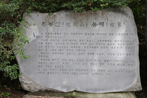 용봉산 구룡대 입구에 설치된 표지석.