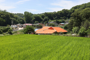 천안 동면 행암리마을.