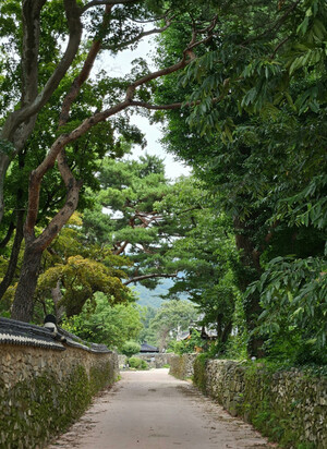 충남 아산시 외암민속마을 돌담길.