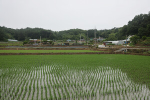 서천 판교 후동리마을전경.