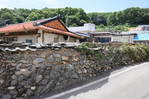 옥천 군북면 증약리 돌담.