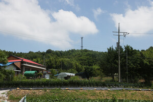 서천 마산면 소야리마을.
