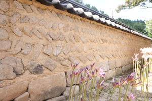 영동 상촌면 임산리 수산마을 돌담.