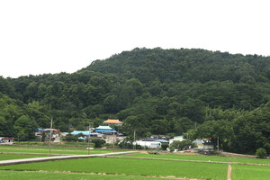 서천 시초면 태성2리마을 전경.