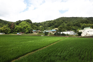 서천 시초면 태성2리마을.