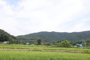 보령 주포면 마강2리마을.