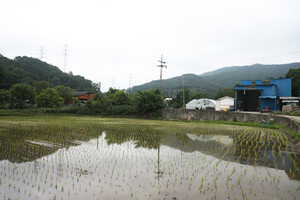 보령 주포면 마강2리마을.