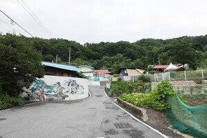 보은 회남면 신추리마을은 대청호로 수몰되면서 20여 명이 사는 작은 산골 마을로 변했다.