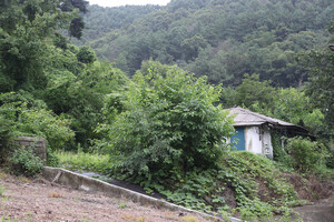 보은 회남면 신추리마을 빈집.