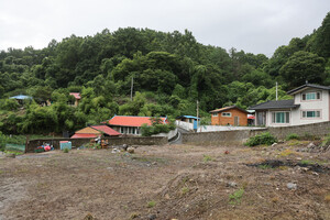 보은 회남면 신추리마을.