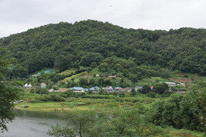 보은 회남면 신추리마을 강건너 용곡마을.