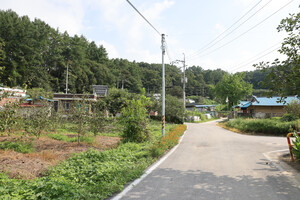 보은 회남면 산수리마을.