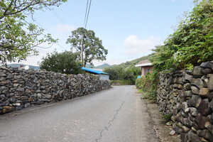 부여 외산면 반교마을의 밭담 풍경.