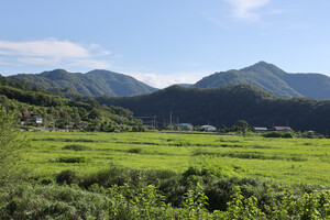 옥천 안남면 종미리 미산마을 전경.
