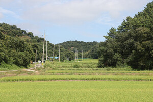 인구 6만명이 무너진 부여군에서 가장 인구가 적은 마을인 내산면 율암1리마을 전경. 왼쪽 길따라 올라가면 4가구 8명의 주민이 살고 있는 동네다. “먹을 물 걱정 없이 사는 게 희망”이란다.