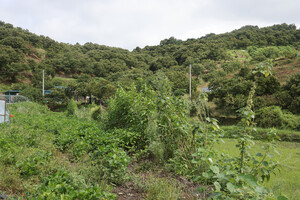 부여 내산면 율암1리마을.