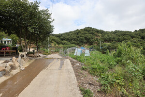 부여 내산면 율암1리마을은 율암리 용암마을을 통과해 구룡천 건너에 위치하고 있으며 4가구 8명이 살고 있는 부여군에서 가장 작은마을이다.