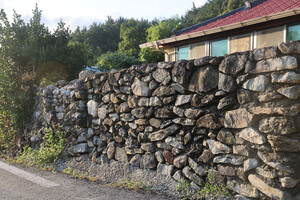 논산 상월면 상도1리마을의 돌담 모습. 자연석 강돌로만 쌓은 것이 특징적이다.
