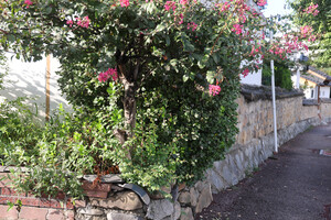 논산 연무읍 안심8리 개태골돌담.