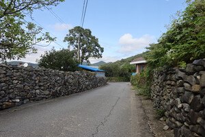 충청도 유일의 국가등록문화유산으로 지정된 돌담길 문화재, 부여 외산면 반교마을의 돌담 풍경.