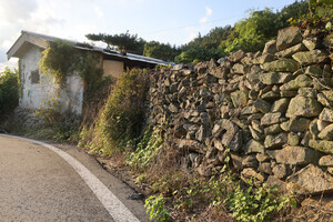 논산 상월면 상도1리마을 돌담.