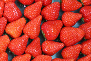 홍성 프리미엄 딸기 ‘골드베리’.