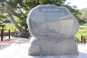 동군 용화면 용강리마을의 유래비.