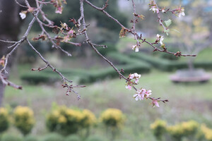 사진=김용환 인턴기자