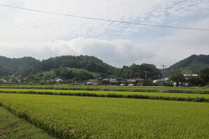 부여 옥산면 수암2리마을.