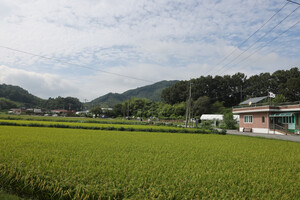 부여 옥산면 수암2리마을.