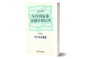 시집 《누가 하늘을 보았다 하는가》