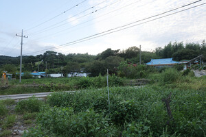 부여 양화면 원당2리 마을전경. 23명의 주민이 살고 있다.