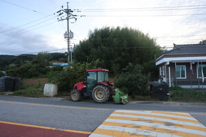 부여 양화면 원당2리마을.