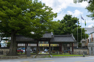 홍성군청 전경.